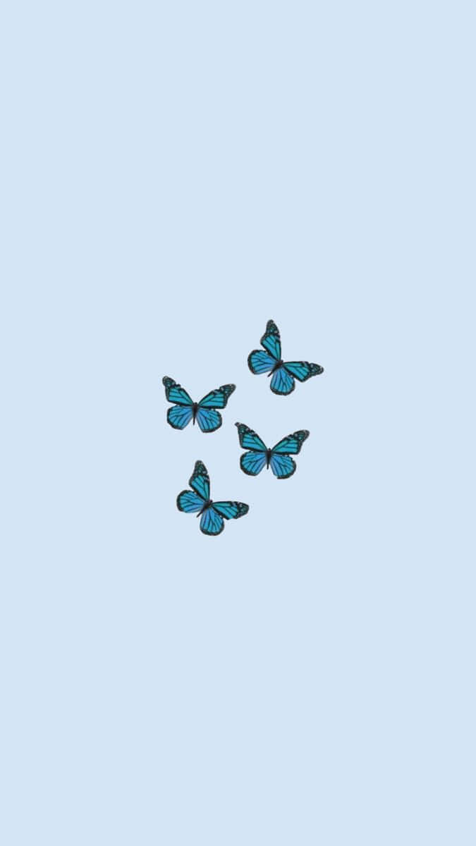 Blue Butterflies Aesthetic Wallpaper Wallpaper