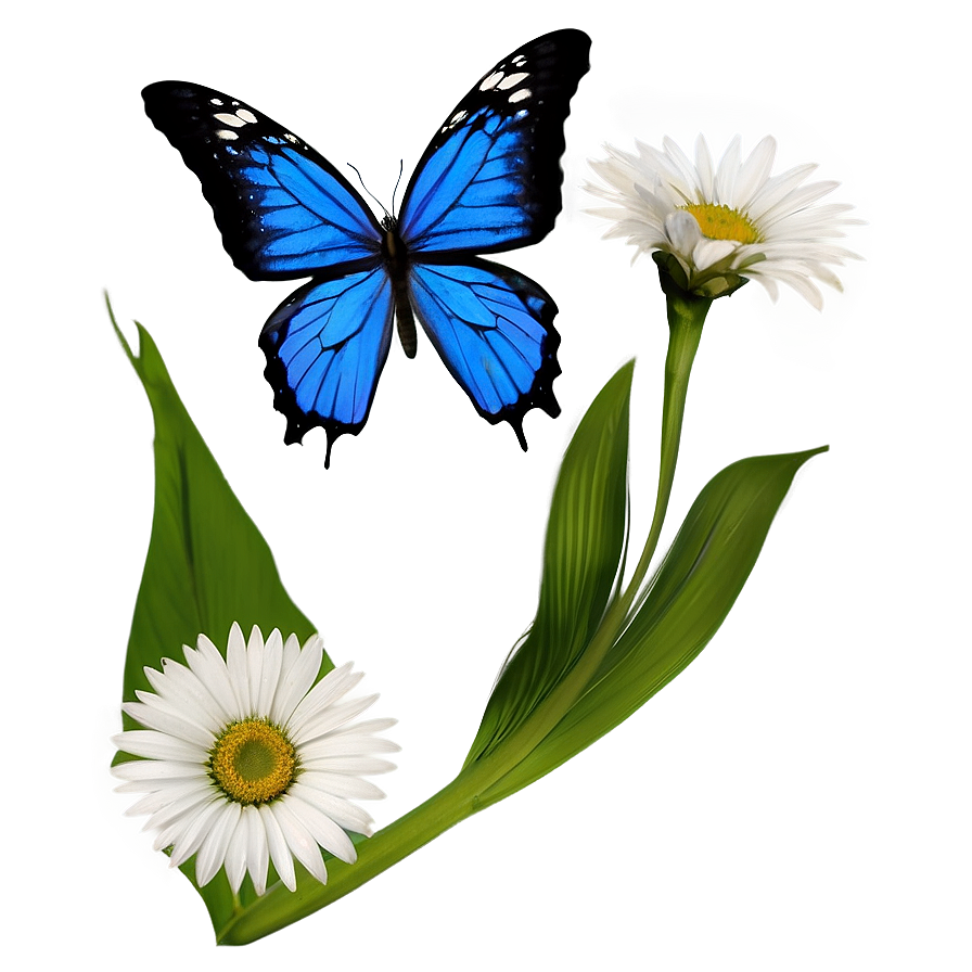 Blue Butterflies And Flowers Png 06132024 PNG