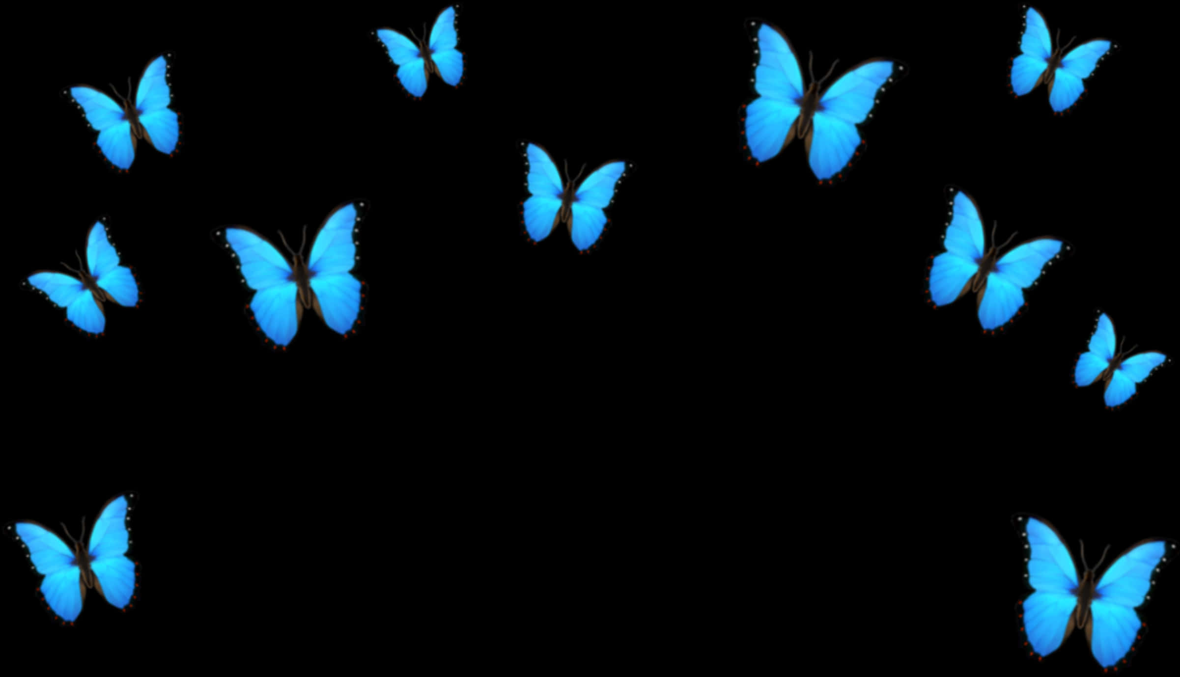 Blue Butterflies Black Background PNG
