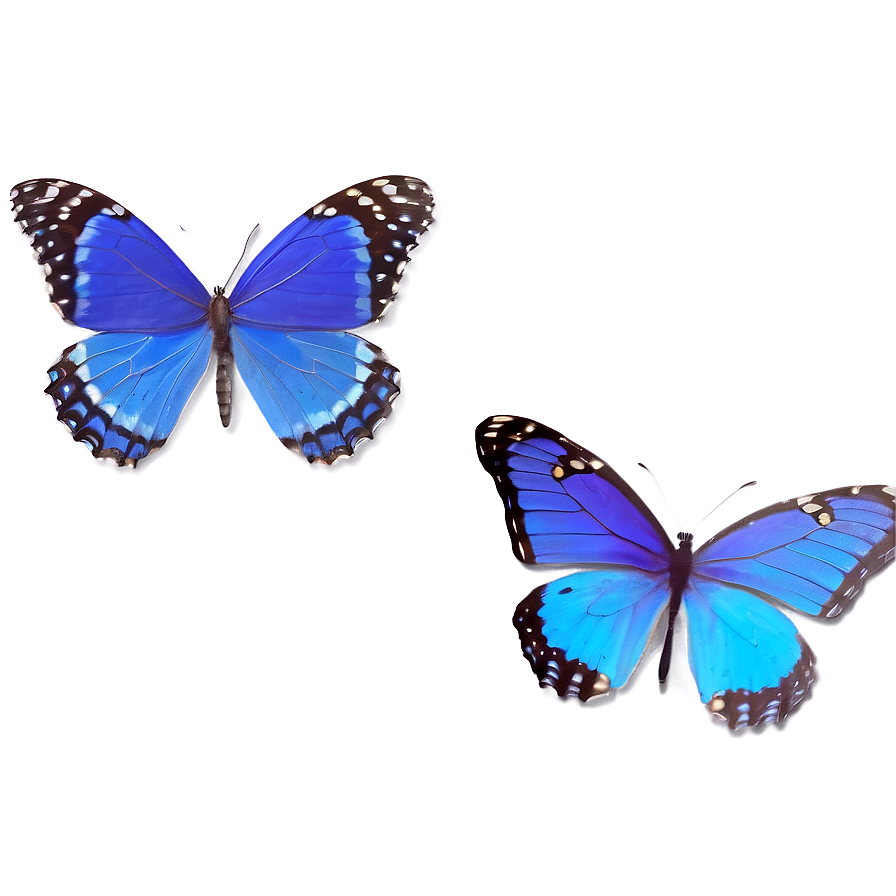 Blue Butterflies Border Png 06132024 PNG