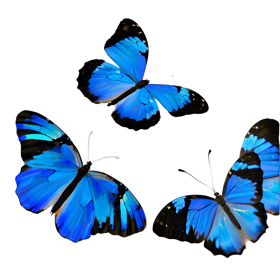 Blue Butterflies In Nature Png 06132024 PNG