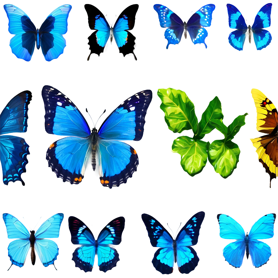 Blue Butterflies In Nature Png 06132024 PNG