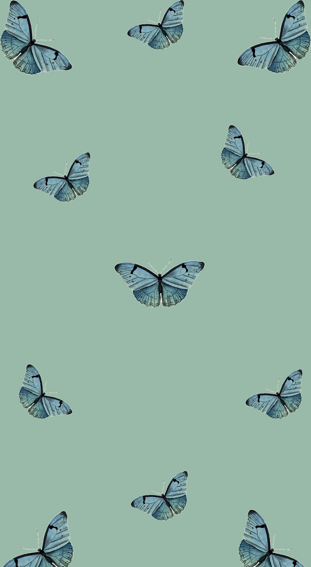 Blå sommerfugle på en sød saliegrøn overflade Wallpaper