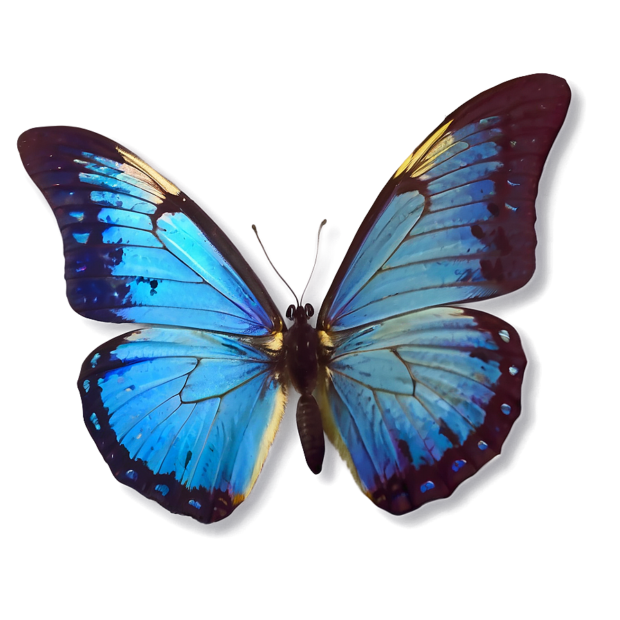 Blue Butterflies Png Rtw41 PNG