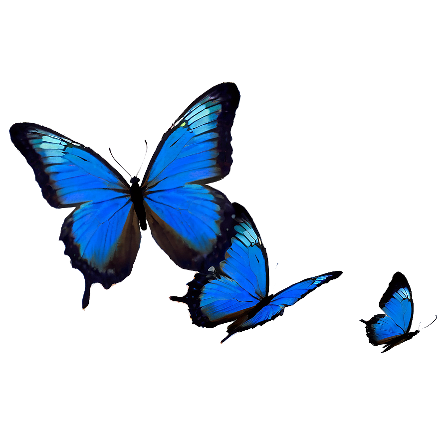 Blue Butterflies Silhouette Png Uyc50 PNG