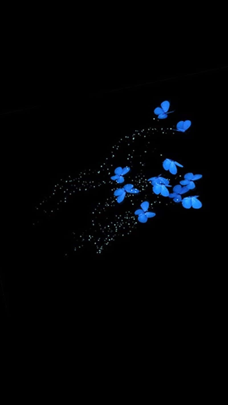 Blue Butterfliesin Night Sky Wallpaper