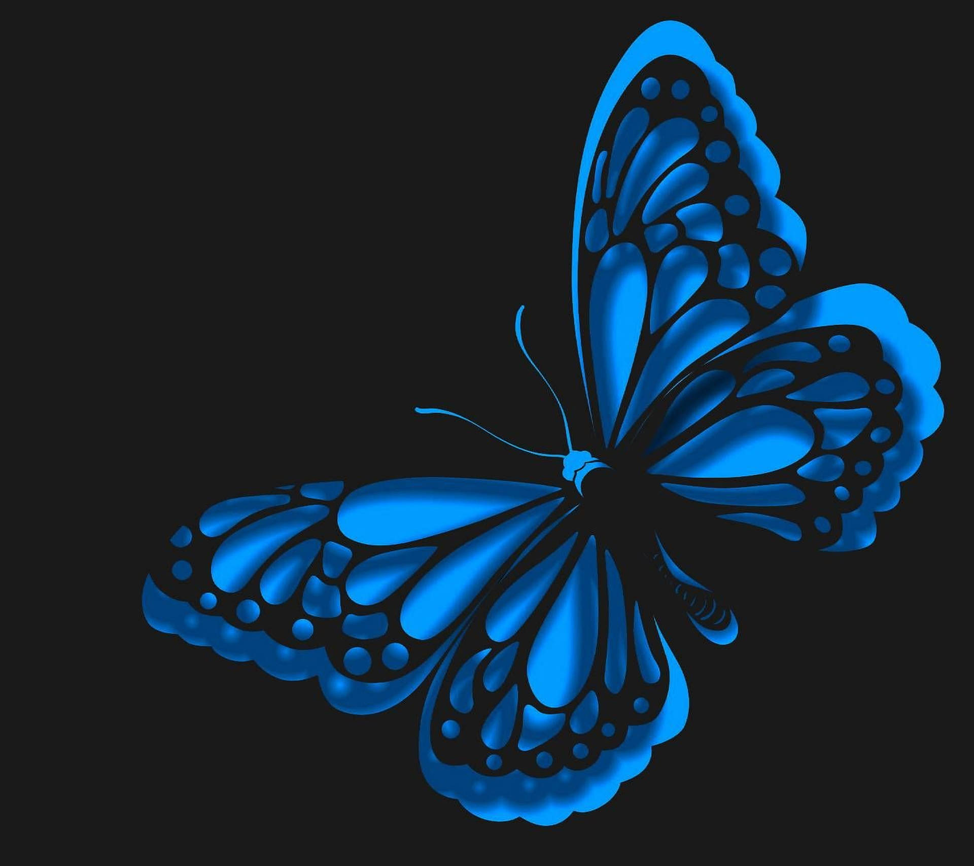 Blue Butterfly Aesthetic Drawing Wallpaper