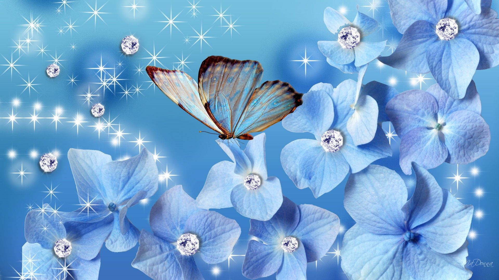 Blue Butterfly Aesthetic Flowers Wallpaper
