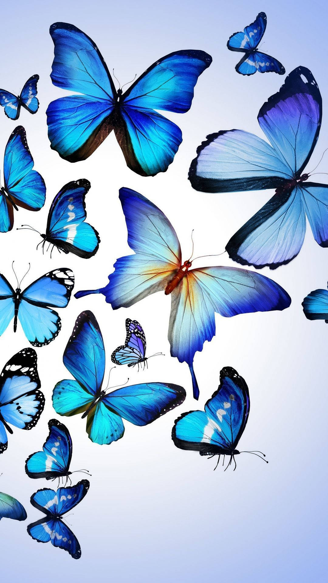 Blue Butterfly Aesthetic Pattern Wallpaper
