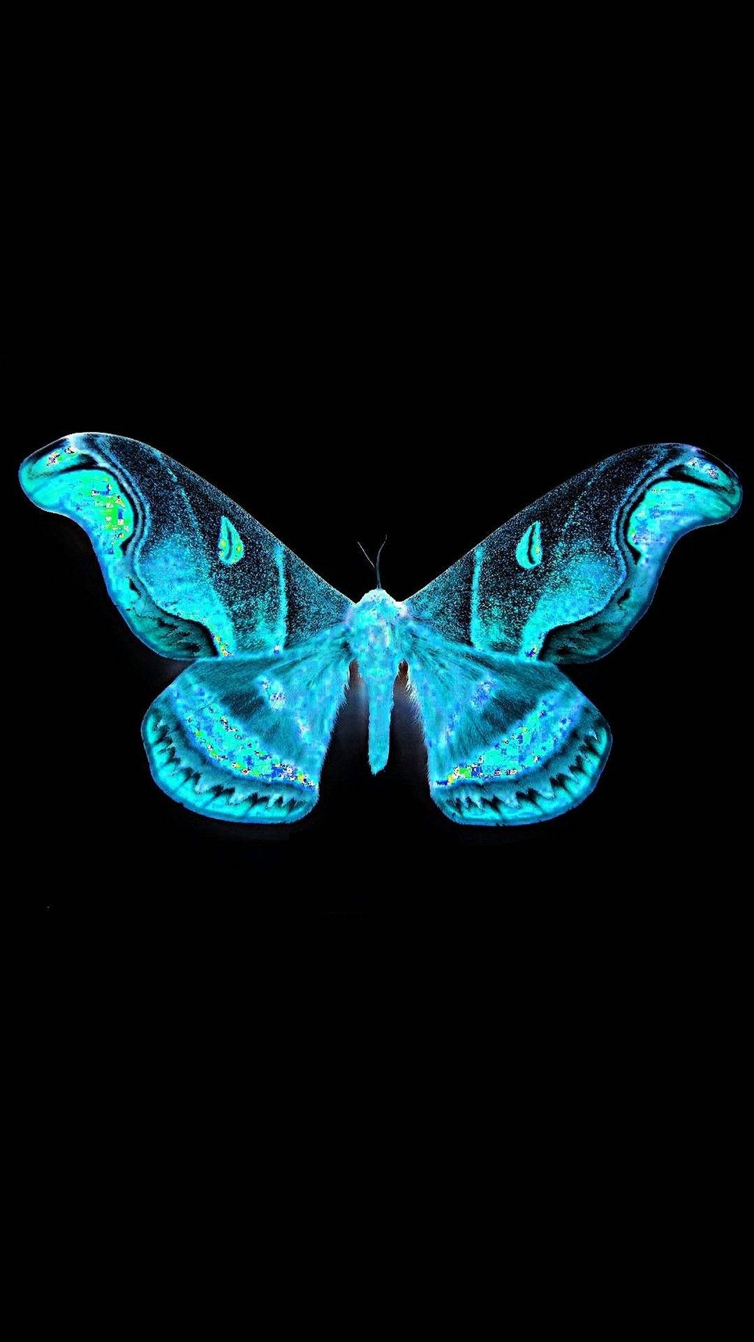 Blue Butterfly Aesthetic Photo Wallpaper