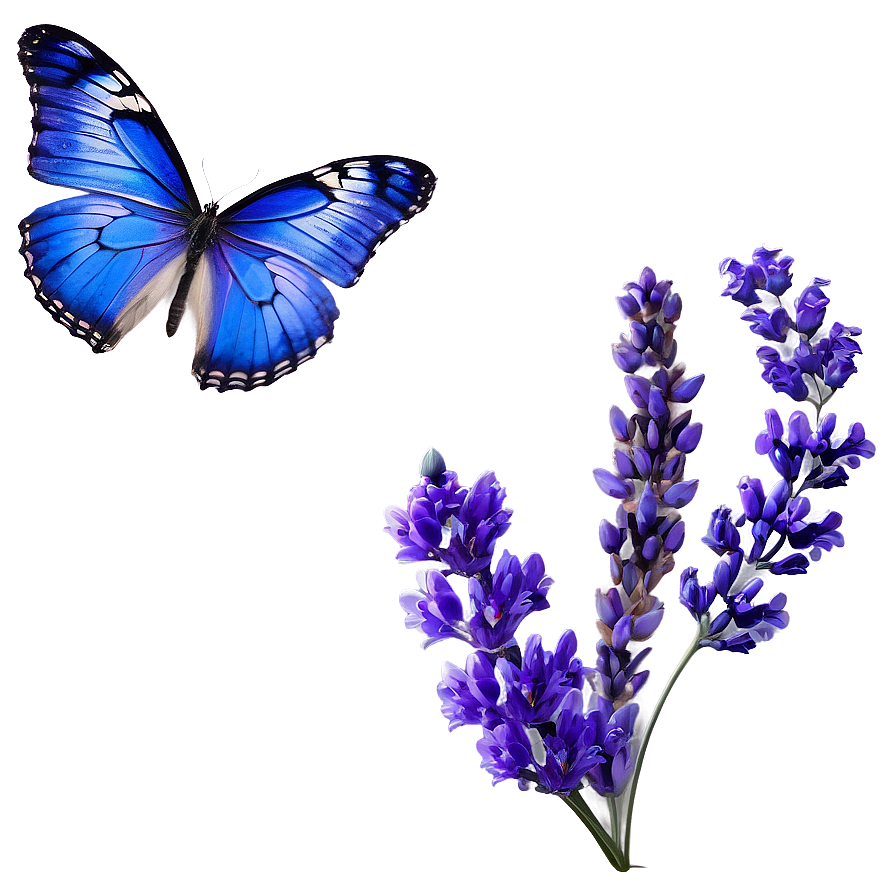 Blue Butterfly And Lavender Png 19 PNG