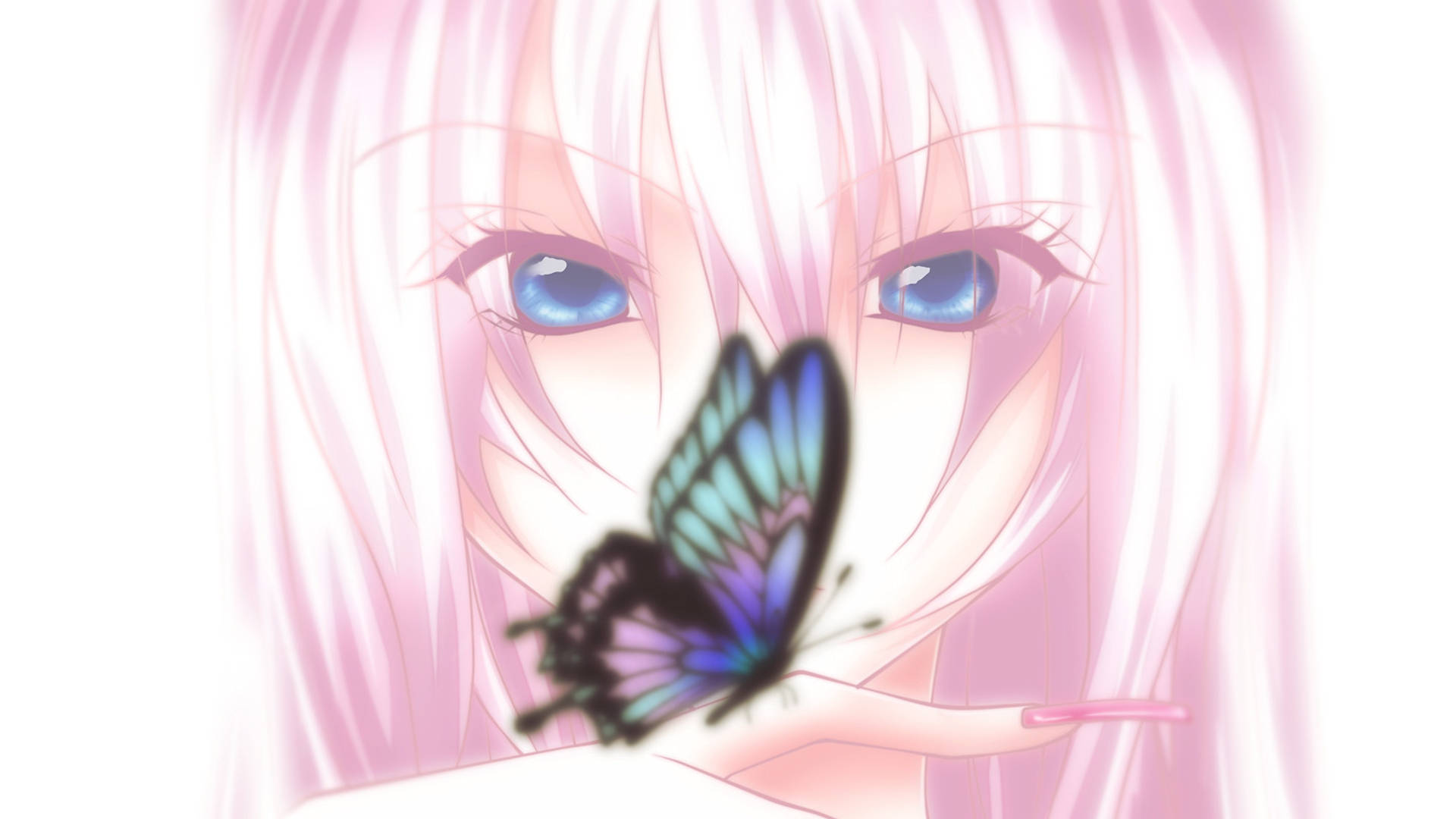 Blue Butterfly Anime Wallpaper
