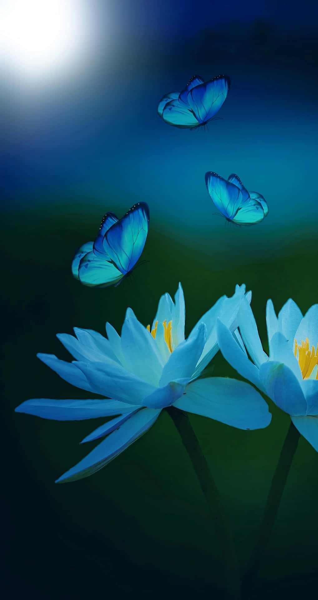 Einatemberaubender Blauer Schmetterling Flattert In Der Morgensonne.