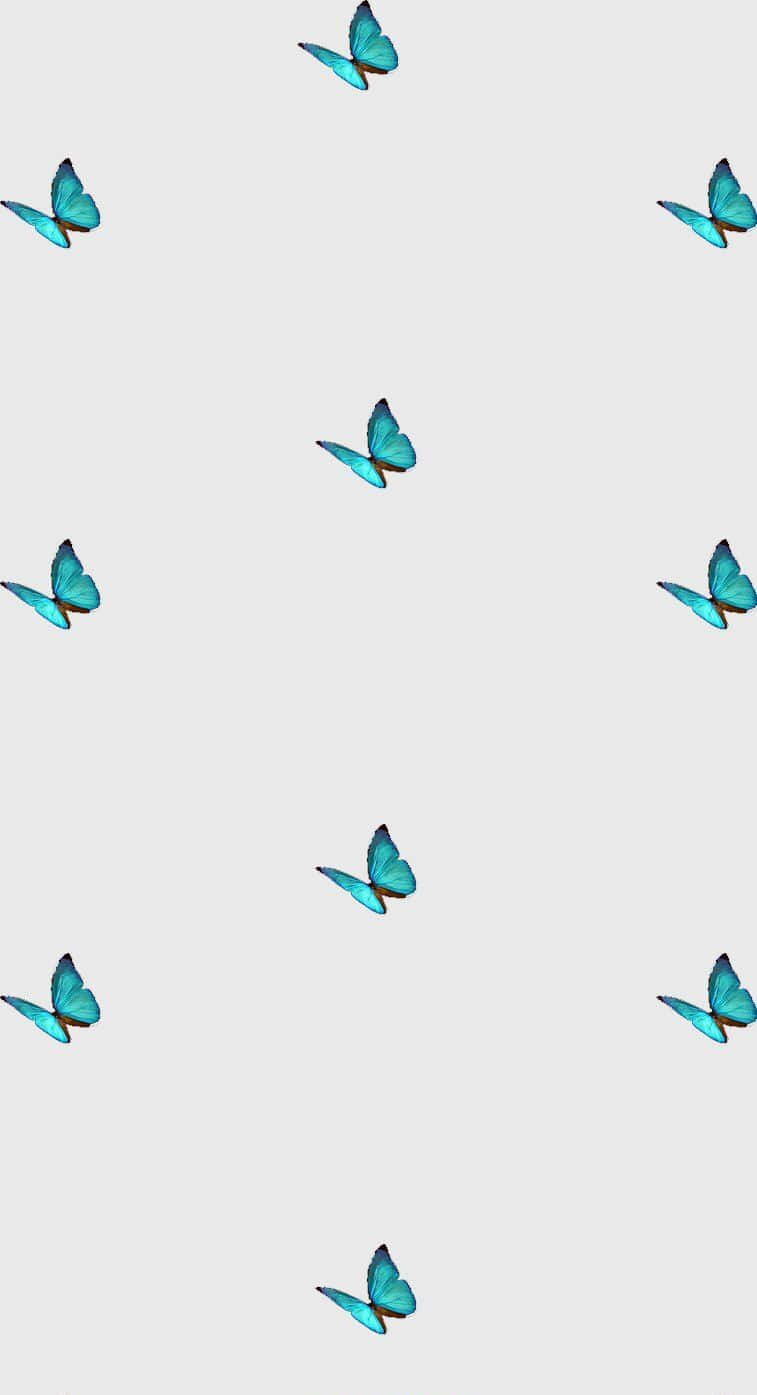 Einwunderschöner Blauer Schmetterling In Der Natur