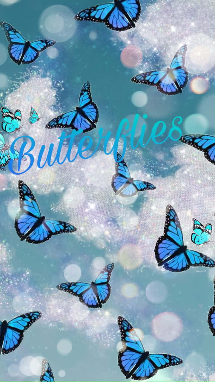 Hellerblauer Schmetterling