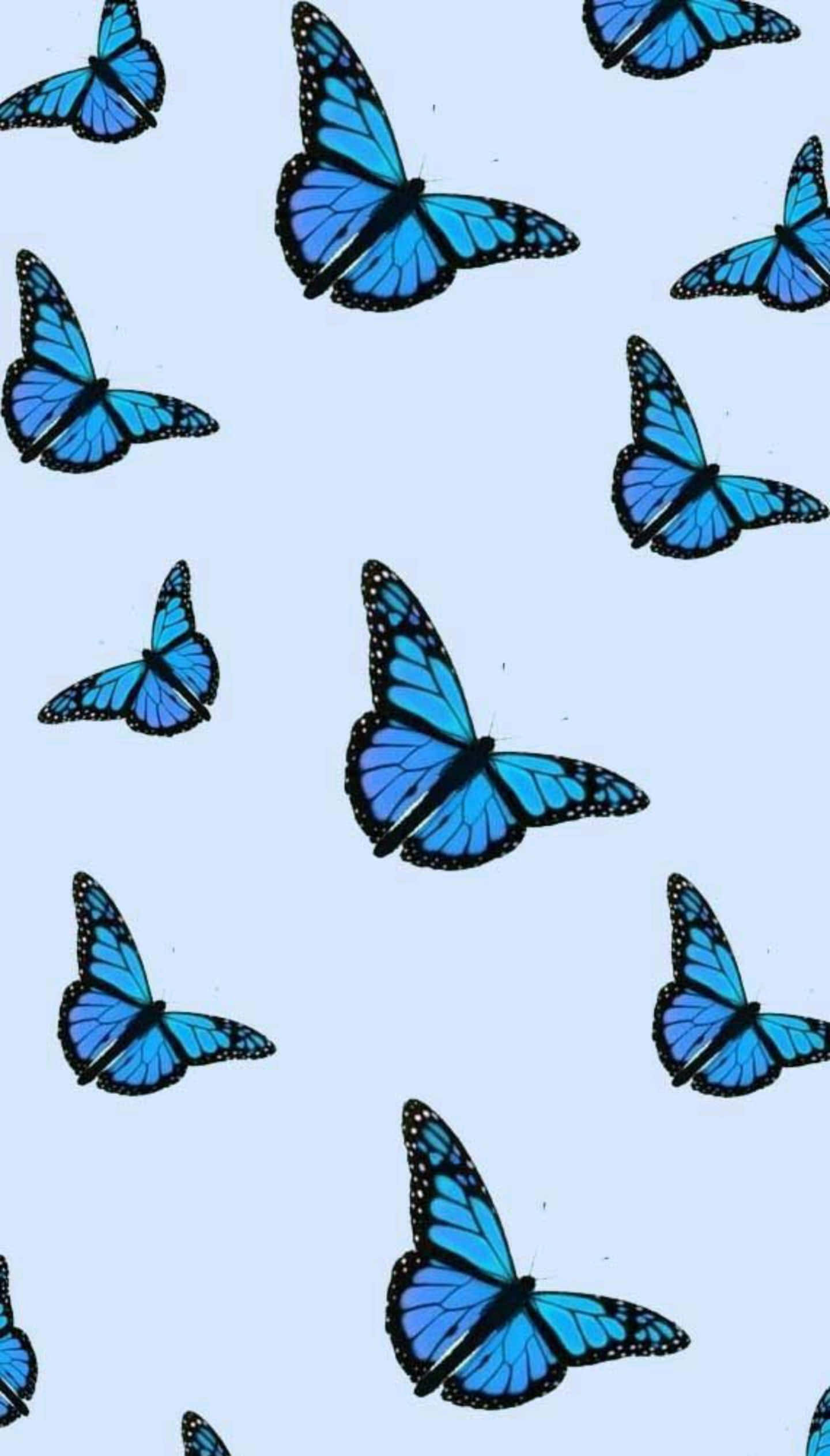 Einwunderschöner Blauer Schmetterling Auf Einem Lebendig Grünen Blatt