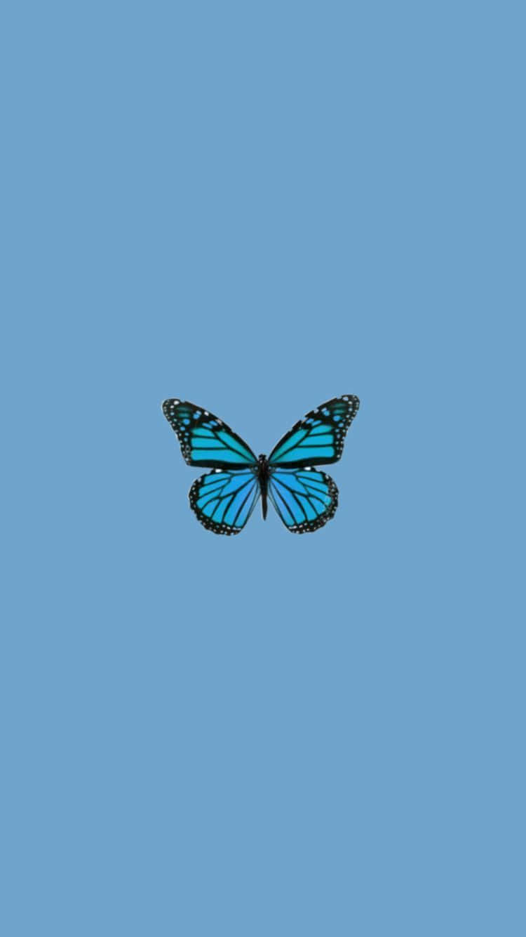 Blue Butterfly Flutter In The Wind