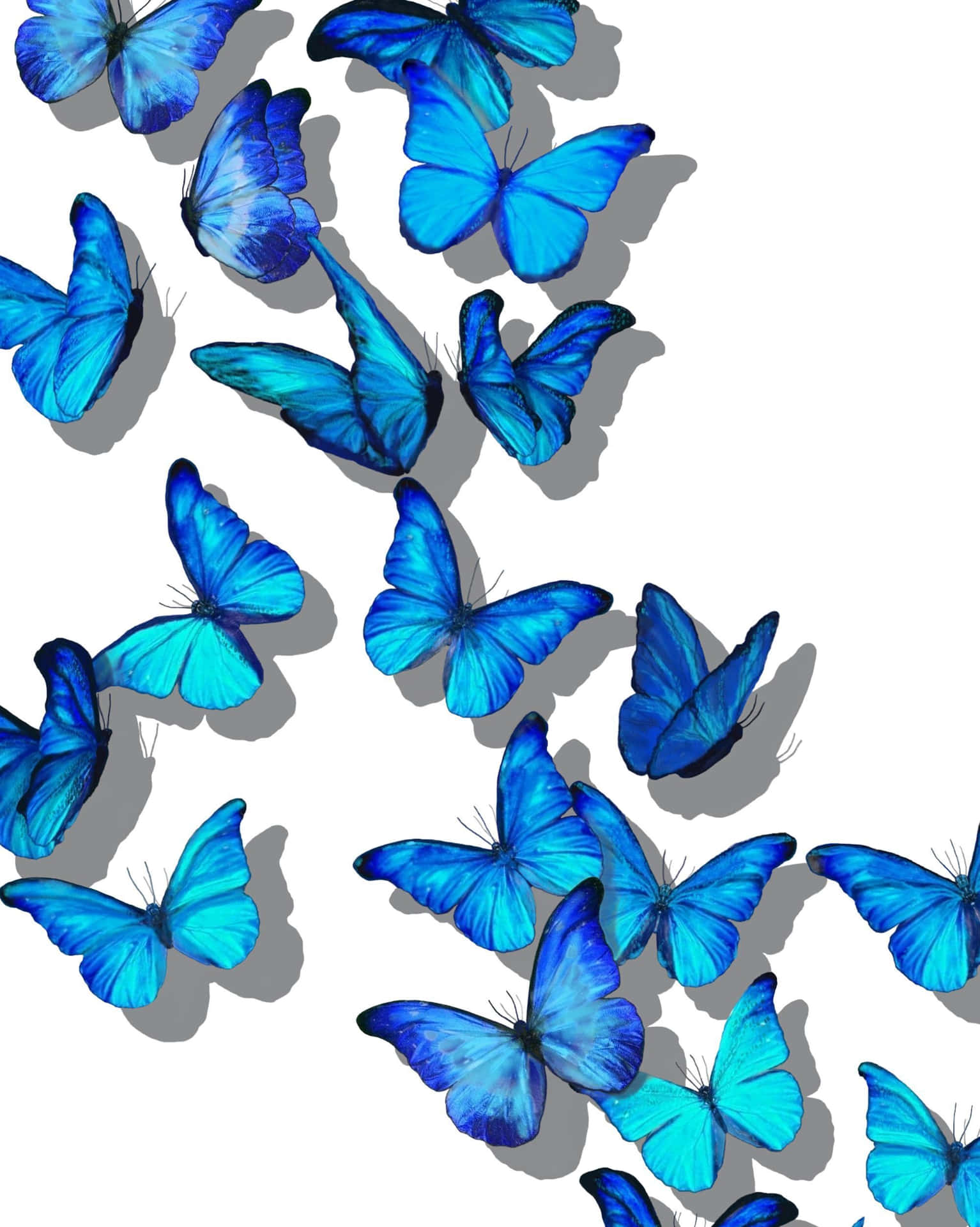 Einblauer Schmetterling Schwebt Zwischen Blühenden Blumen.