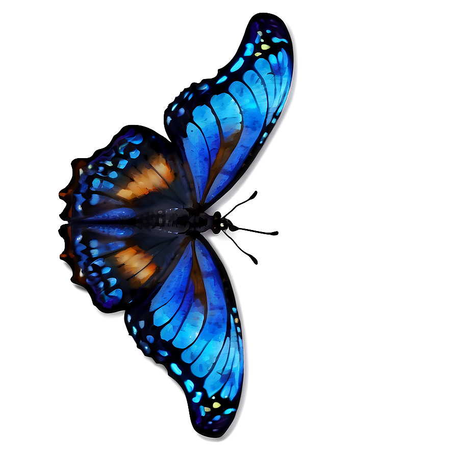 Blue Butterfly Close-up Png Nkg34 PNG