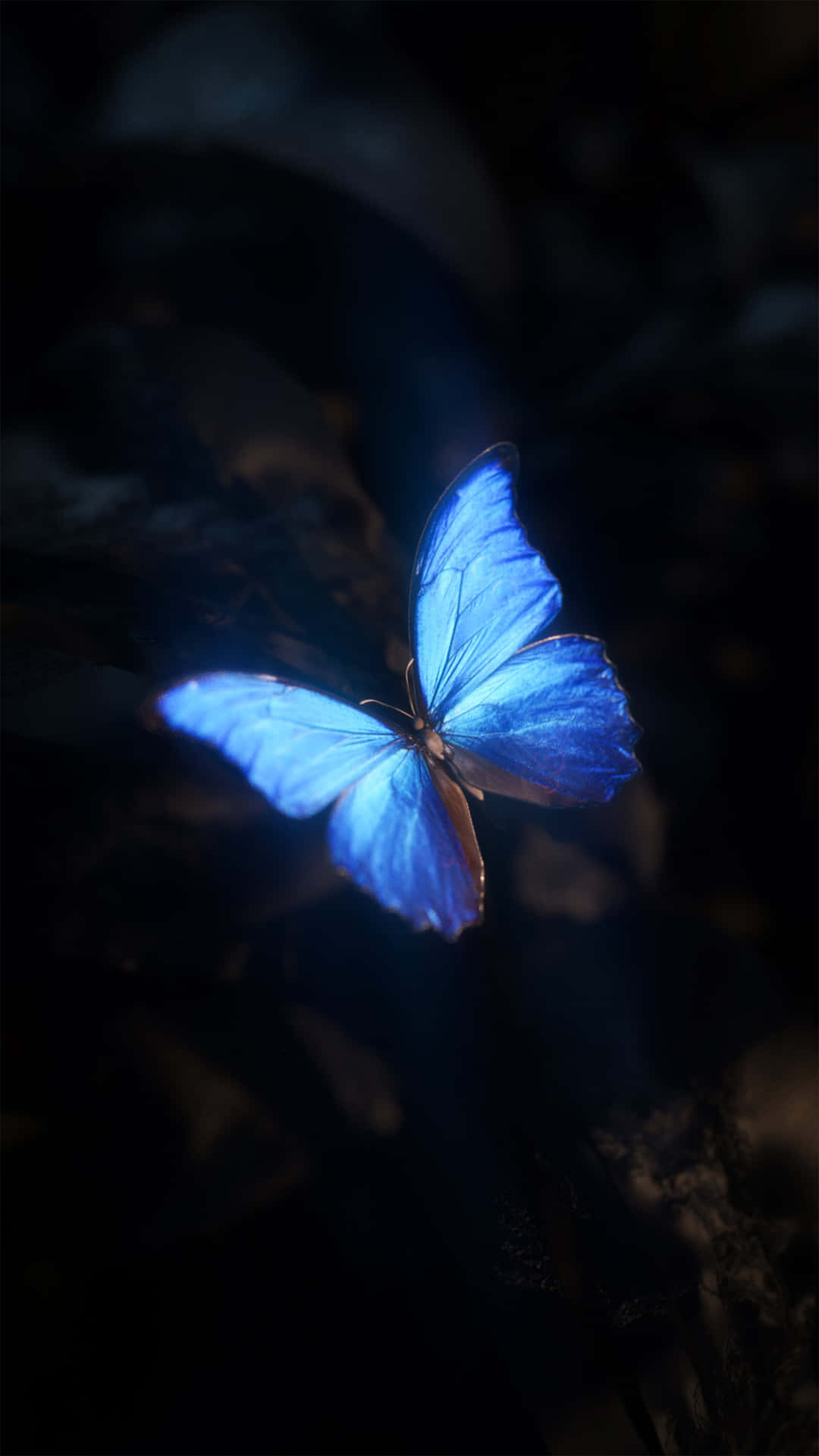 Blue Butterfly Dark Aesthetic Wallpaper