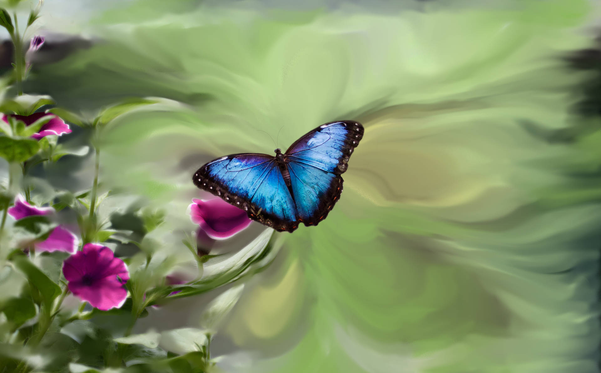 Blue Butterfly Digital Painting Wallpaper