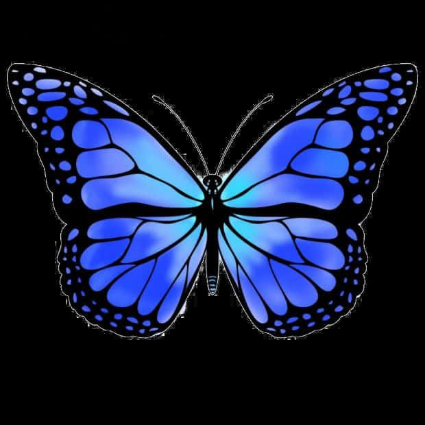 Blue Butterfly Graphic Art PNG