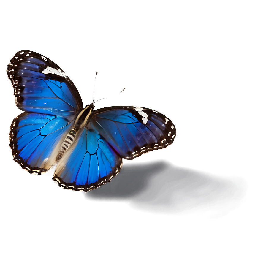 Blue Butterfly In Flight Png 47 PNG