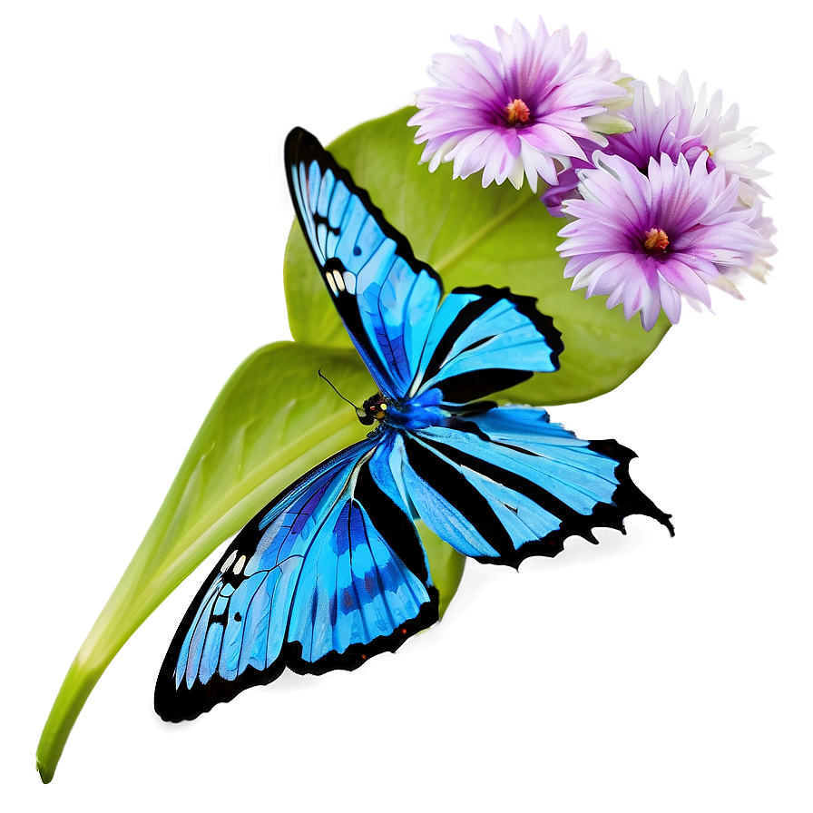 Blue Butterfly On Flower Png 84 PNG