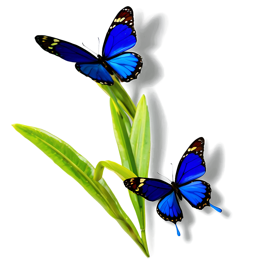Blue Butterfly On Flower Png Qkr PNG