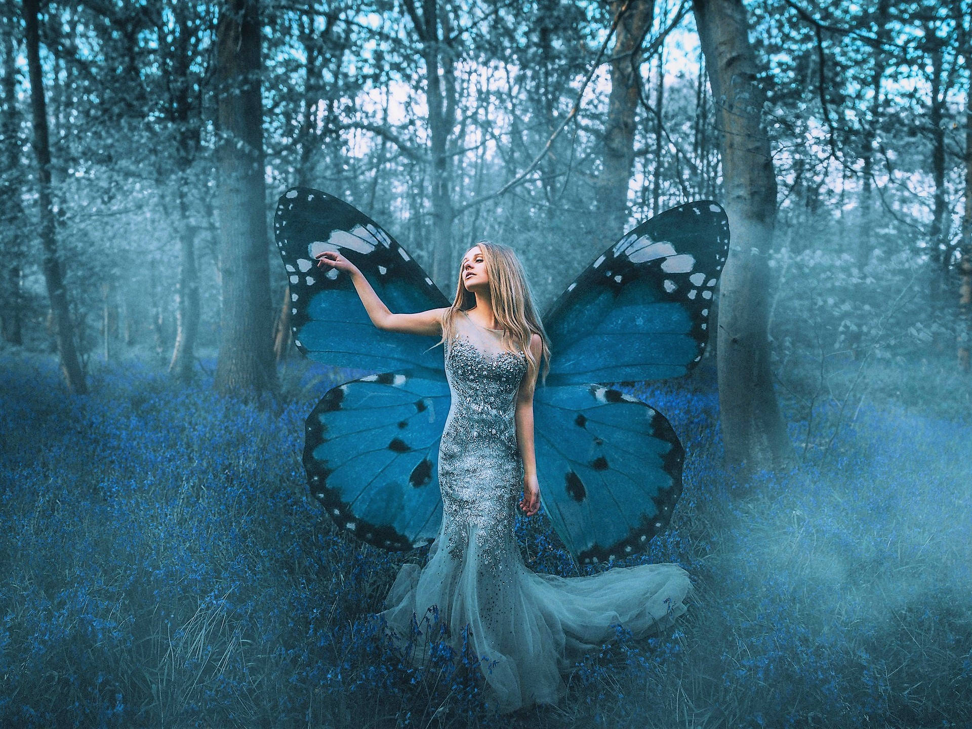 Blue Butterfly Personification Wallpaper