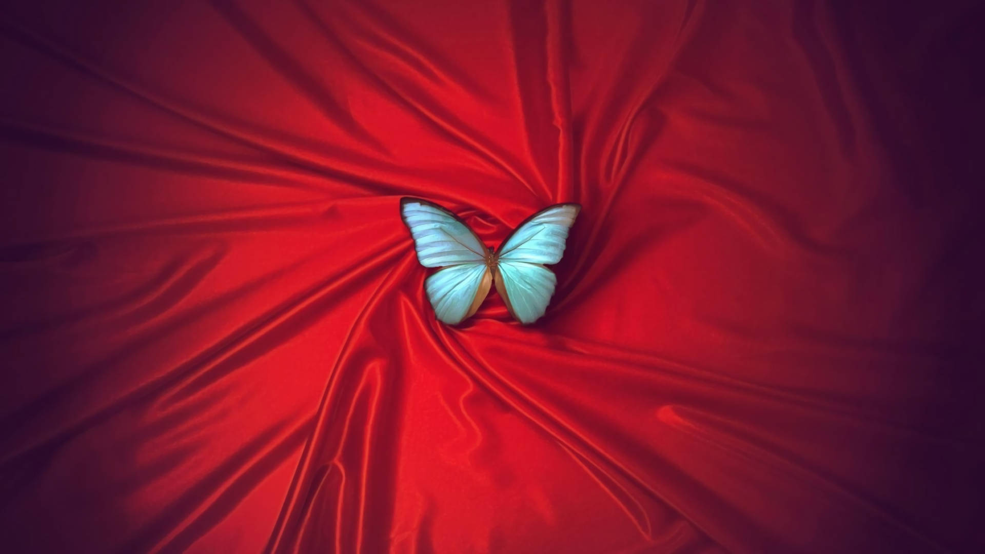 Blue Butterfly Red Satin Wallpaper