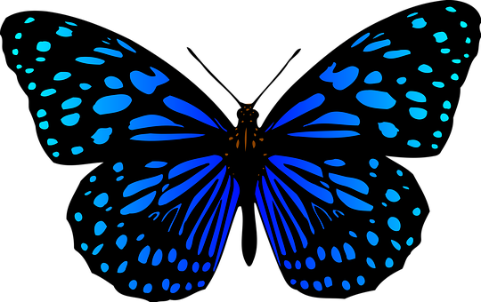 Blue Butterfly Silhouette Art PNG