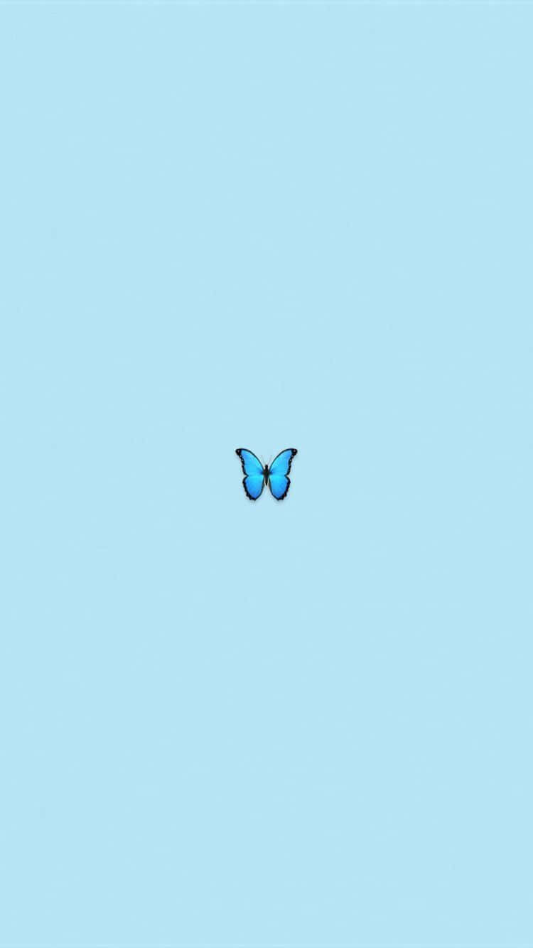 Blue Butterfly Simple Aesthetic Wallpaper