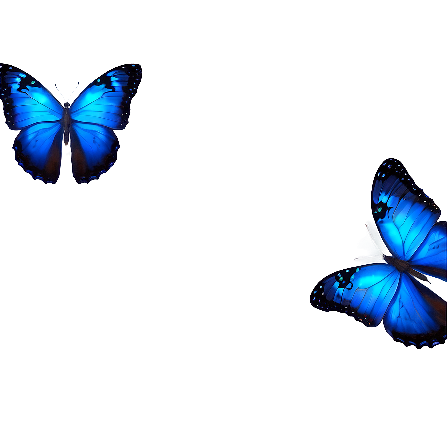 Blue Butterfly Under Moonlight Png Dlv59 PNG