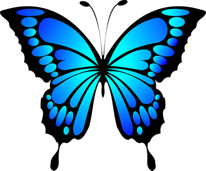 Blue Butterfly Vector Art PNG