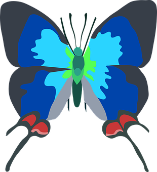 Blue Butterfly Vector Art PNG