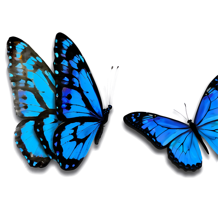 Blue Butterfly With Open Wings Png 05212024 PNG