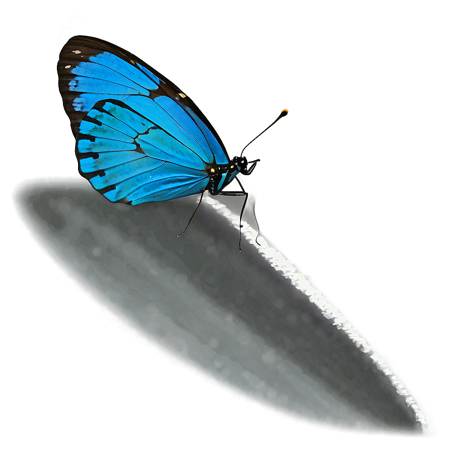 Blue Butterfly With Shadow Png 18 PNG
