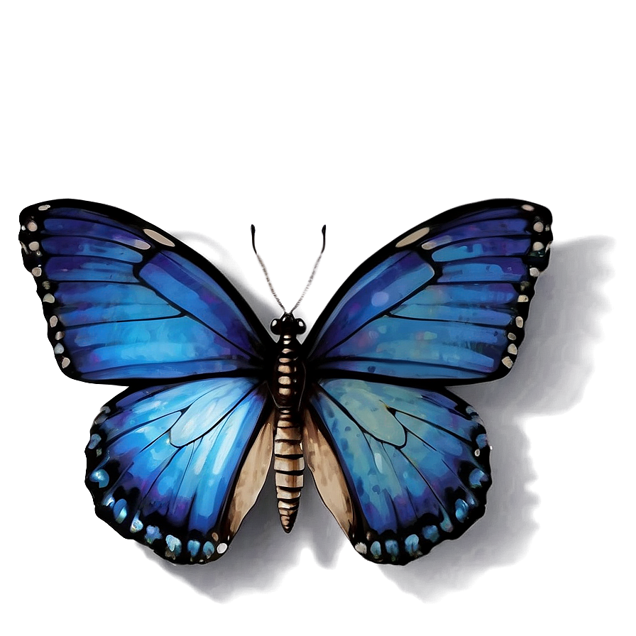 Blue Butterfly With Shadow Png Snw PNG