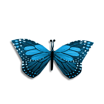 Blue Butterflyon Black Background PNG