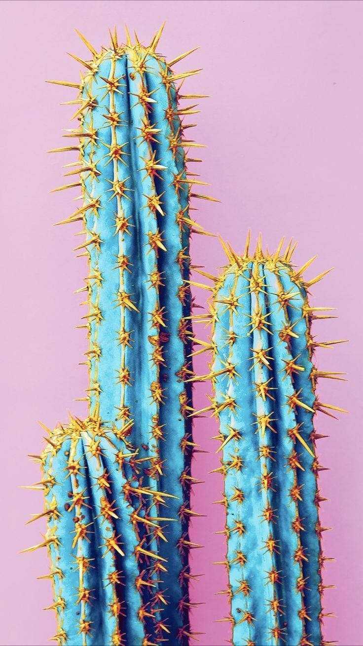 Blue Cactus On Pink Wallpaper