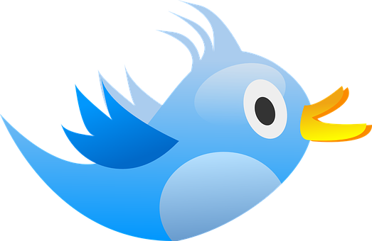 Blue_ Cartoon_ Bird_ Vector PNG