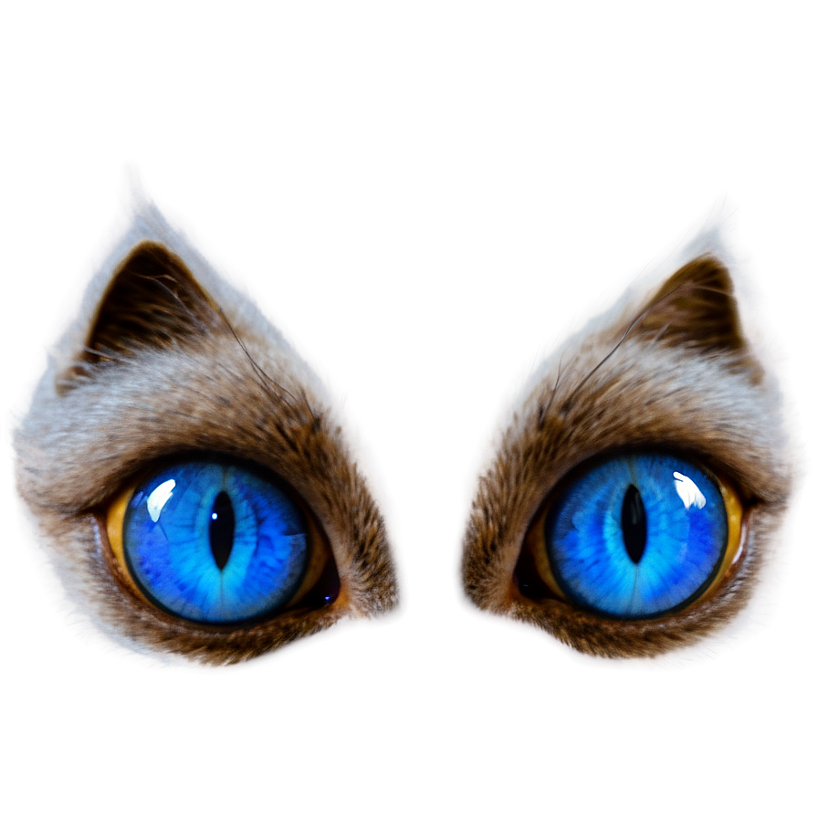 Blue Cat Eyes Png 92 PNG