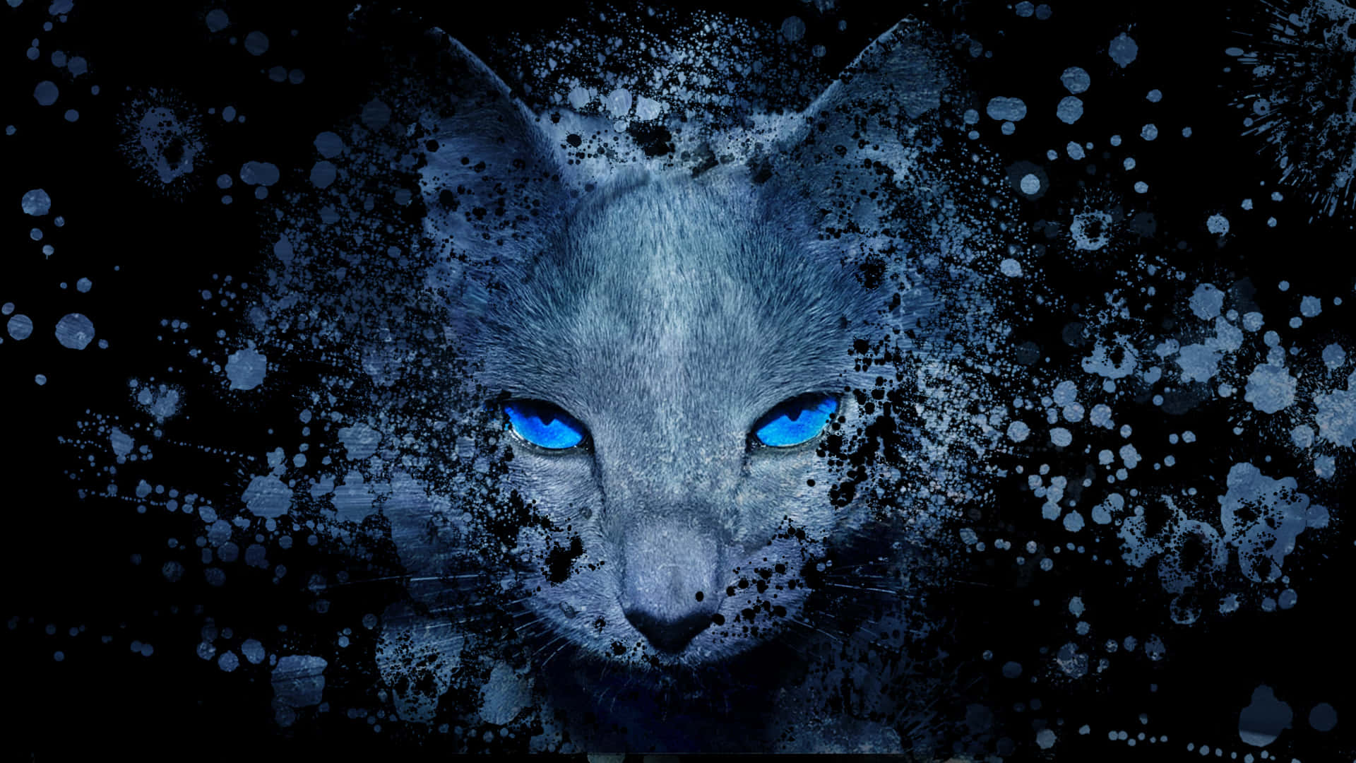 Blue Cat Eyes Russian Blue Fading Background