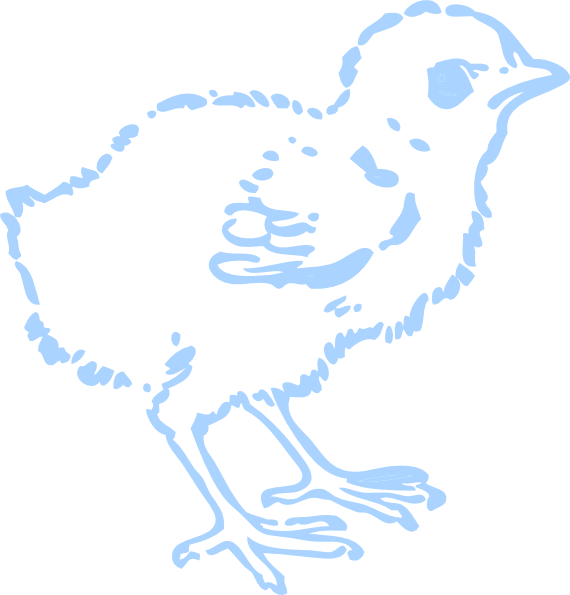 Blue Chick Sketch Outline PNG