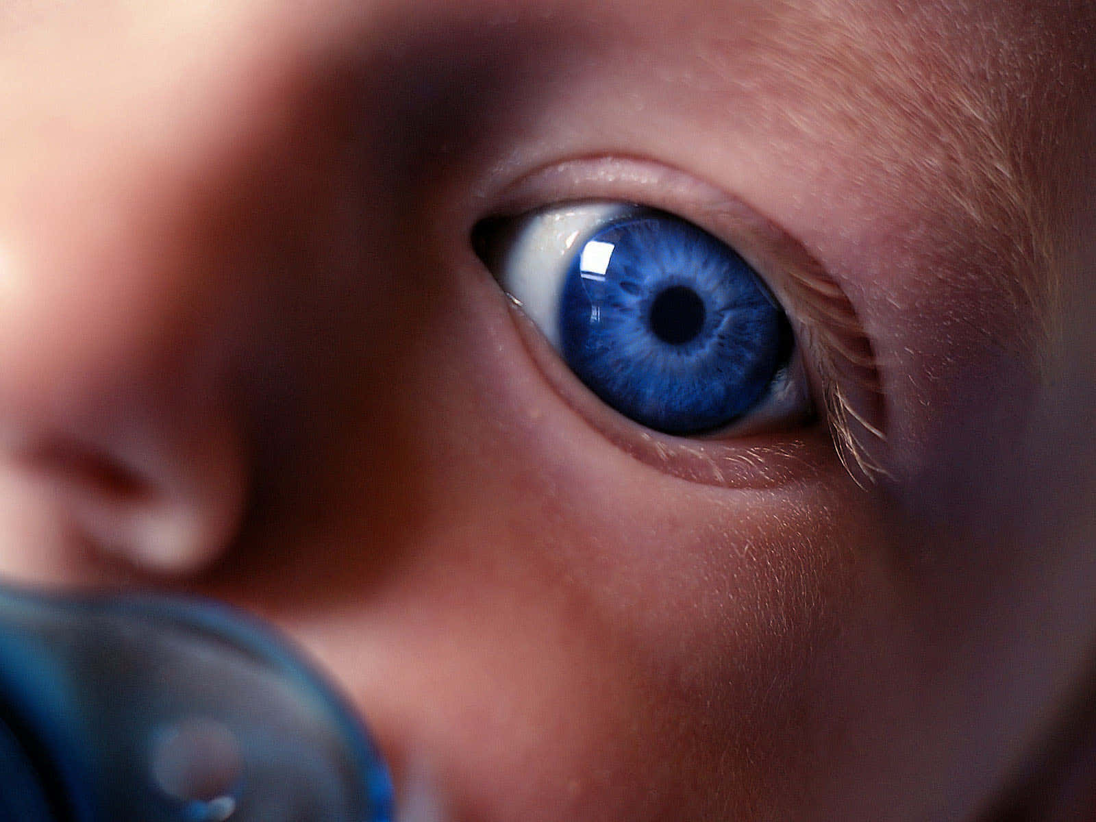 Blue Child's Eye Closeup Wallpaper