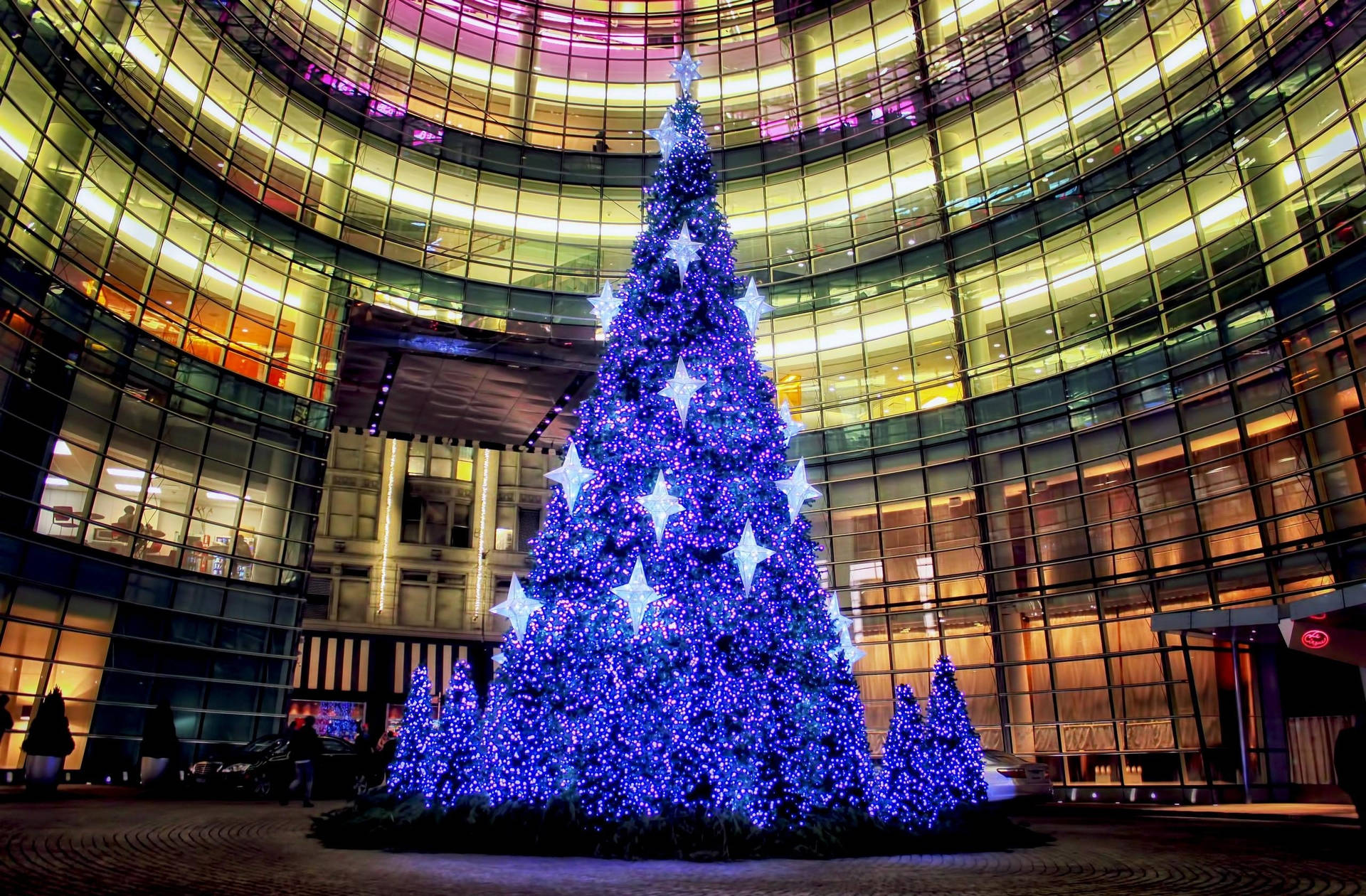A Festive Blue Christmas Tree Against a Dark Urban Night Sky Wallpaper