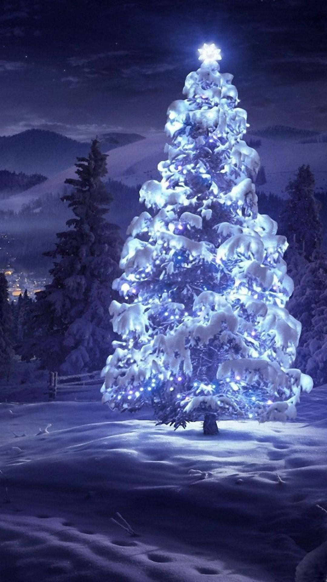 Blue Christmas Tree At Snowy Night