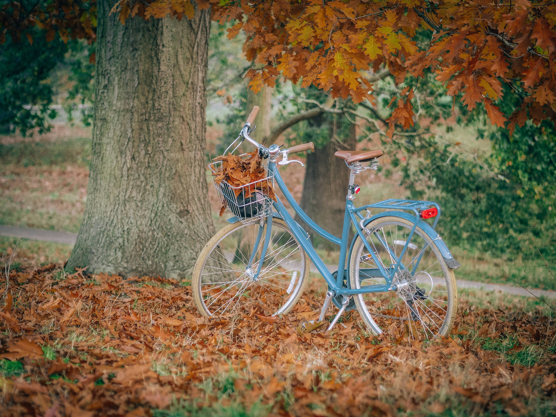 Blue City Bike In Autumn Wallpaper