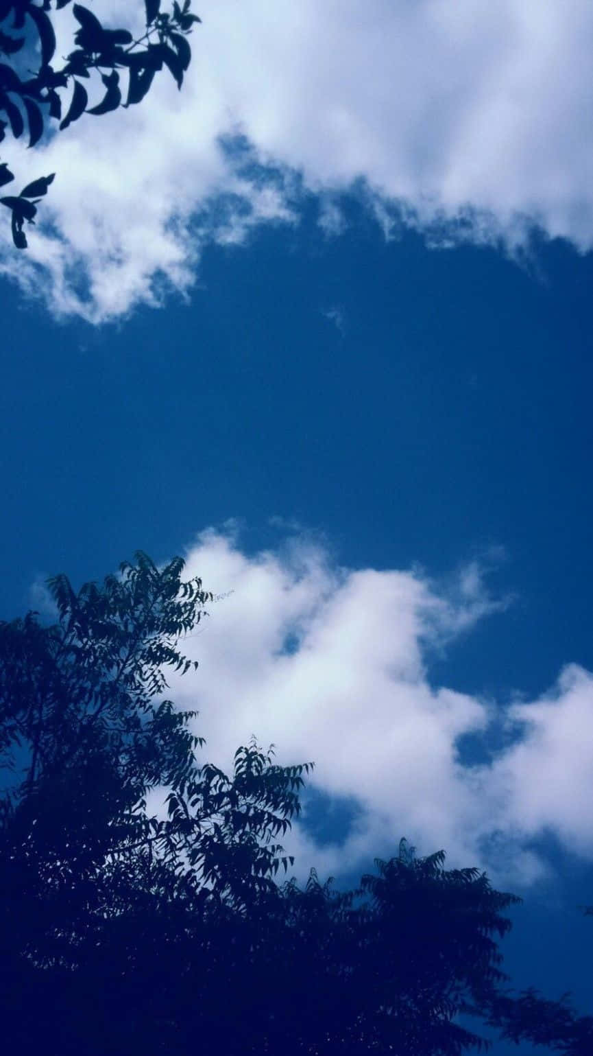 "Cool, blue sky with wispy, dreamy clouds."